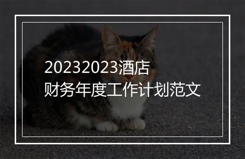 20232023酒店财务年度工作计划范文