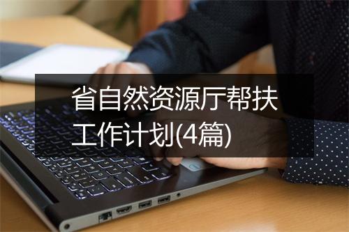 省自然资源厅帮扶工作计划(4篇)
