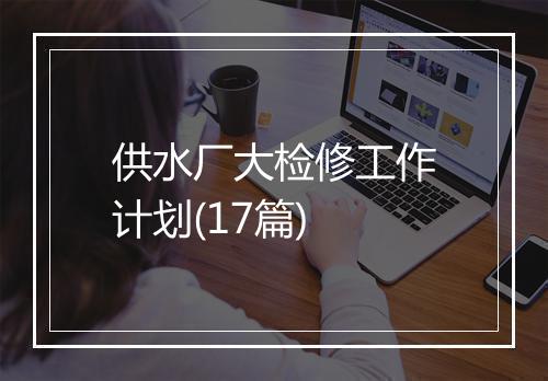 供水厂大检修工作计划(17篇)