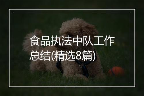 食品执法中队工作总结(精选8篇)