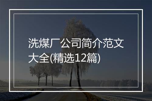 洗煤厂公司简介范文大全(精选12篇)