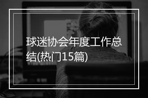 球迷协会年度工作总结(热门15篇)
