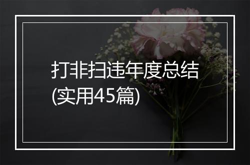 打非扫违年度总结(实用45篇)