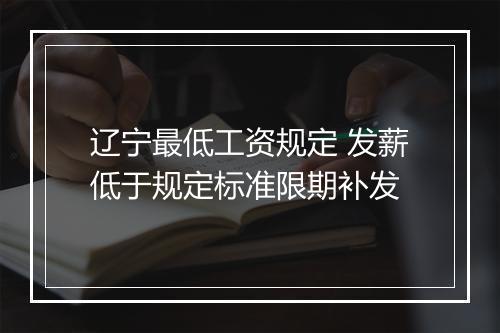 辽宁最低工资规定 发薪低于规定标准限期补发