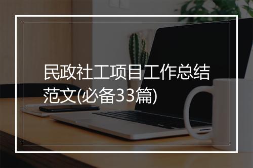 民政社工项目工作总结范文(必备33篇)