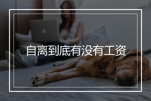 自离到底有没有工资