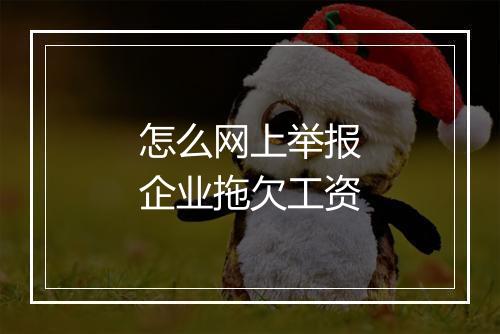 怎么网上举报企业拖欠工资