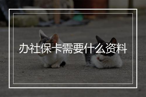 办社保卡需要什么资料