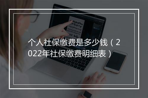 个人社保缴费是多少钱（2022年社保缴费明细表）