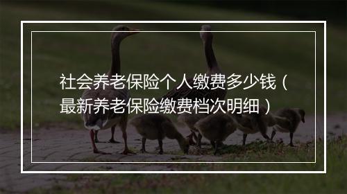 社会养老保险个人缴费多少钱（最新养老保险缴费档次明细）