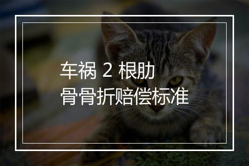 车祸 2 根肋骨骨折赔偿标准