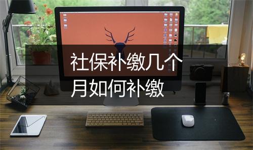 社保补缴几个月如何补缴