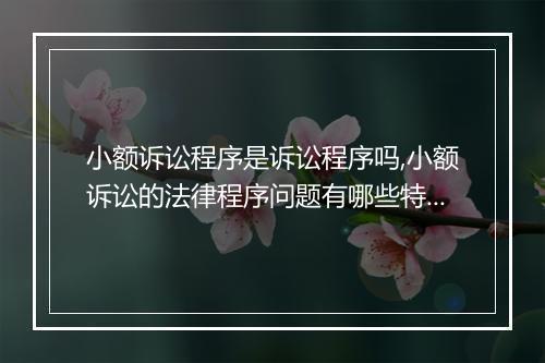 小额诉讼程序是诉讼程序吗,小额诉讼的法律程序问题有哪些特别规定