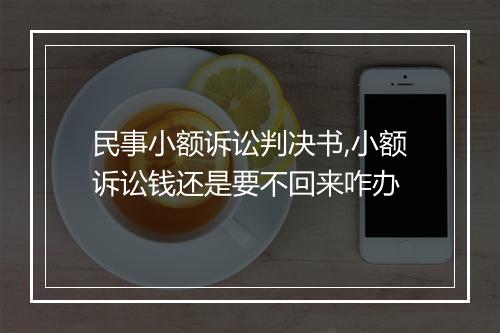 民事小额诉讼判决书,小额诉讼钱还是要不回来咋办
