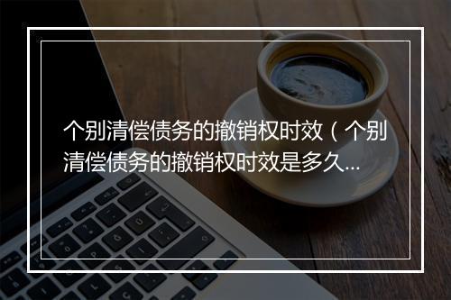 个别清偿债务的撤销权时效（个别清偿债务的撤销权时效是多久）