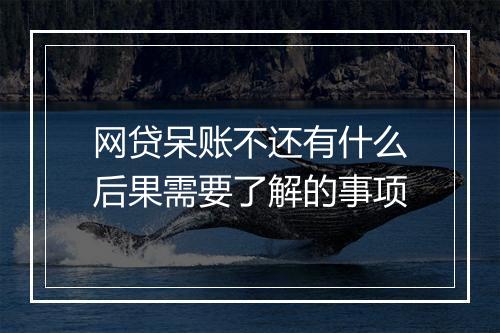 网贷呆账不还有什么后果需要了解的事项