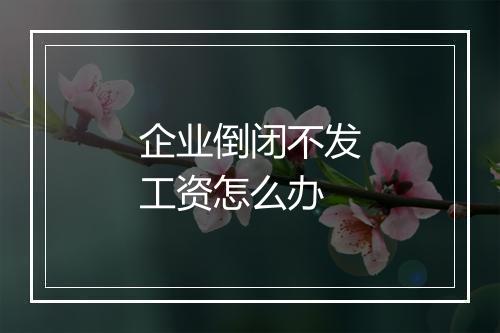 企业倒闭不发工资怎么办