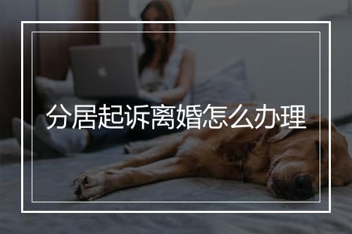 分居起诉离婚怎么办理