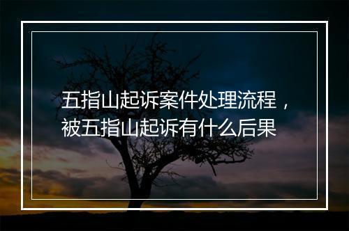 五指山起诉案件处理流程，被五指山起诉有什么后果