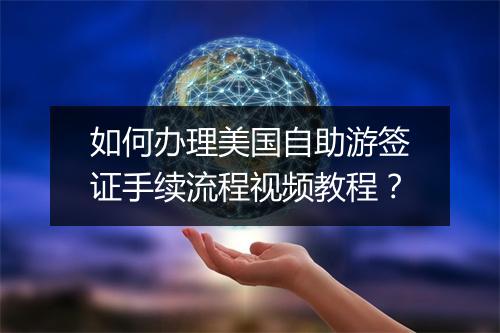 如何办理美国自助游签证手续流程视频教程？