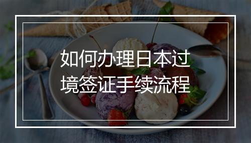 如何办理日本过境签证手续流程