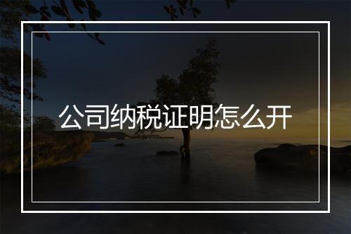 公司纳税证明怎么开