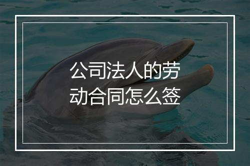 公司法人的劳动合同怎么签