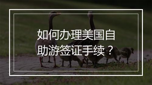 如何办理美国自助游签证手续？
