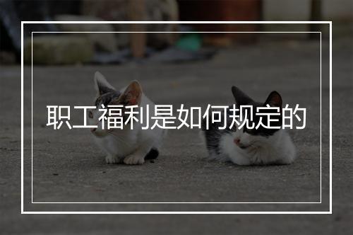 职工福利是如何规定的