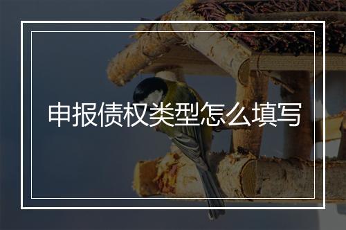申报债权类型怎么填写