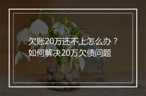 欠账20万还不上怎么办？如何解决20万欠债问题