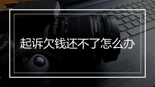 起诉欠钱还不了怎么办