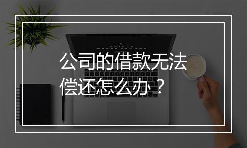 公司的借款无法偿还怎么办？
