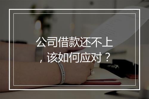 公司借款还不上，该如何应对？