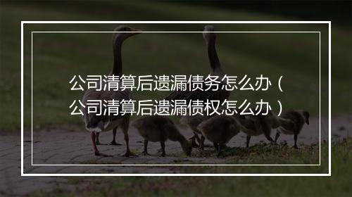 公司清算后遗漏债务怎么办（公司清算后遗漏债权怎么办）