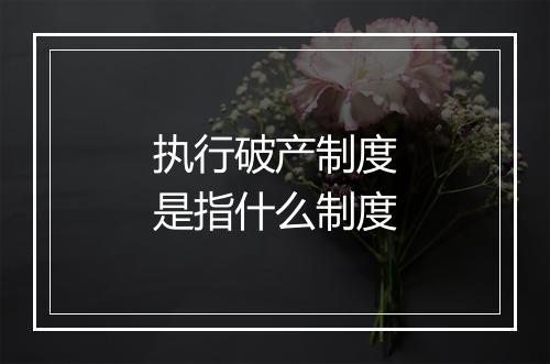 执行破产制度是指什么制度