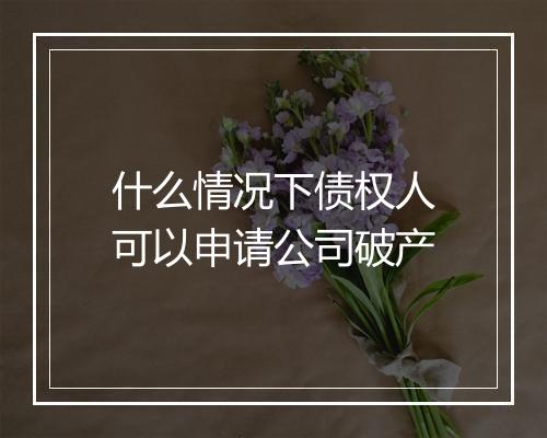 什么情况下债权人可以申请公司破产
