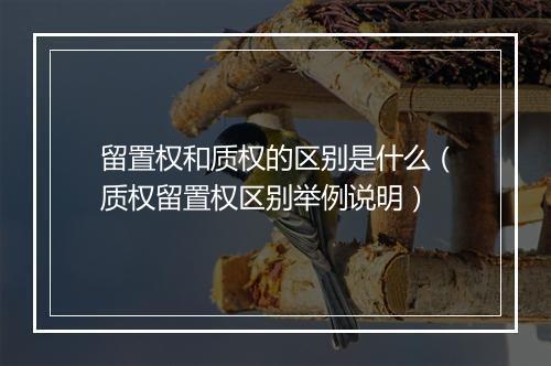 留置权和质权的区别是什么（质权留置权区别举例说明）