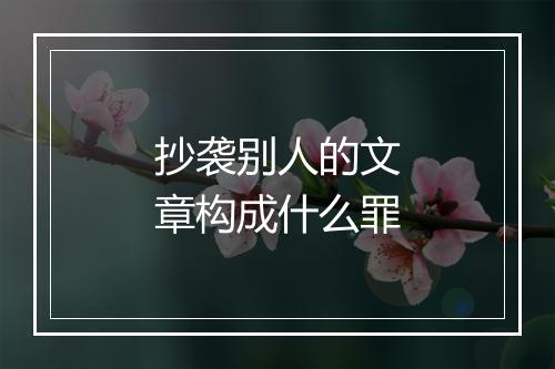 抄袭别人的文章构成什么罪