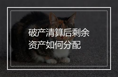 破产清算后剩余资产如何分配