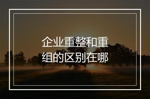 企业重整和重组的区别在哪
