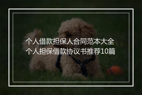 个人借款担保人合同范本大全 个人担保借款协议书推荐10篇