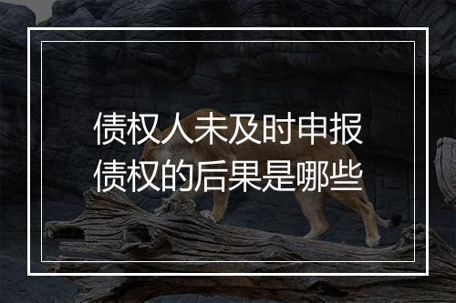 债权人未及时申报债权的后果是哪些