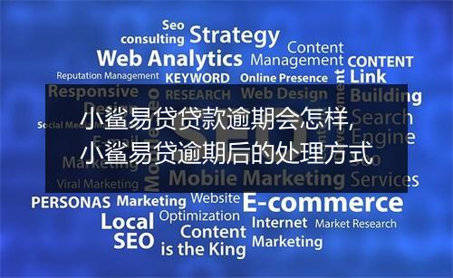 小鲨易贷贷款逾期会怎样,小鲨易贷逾期后的处理方式
