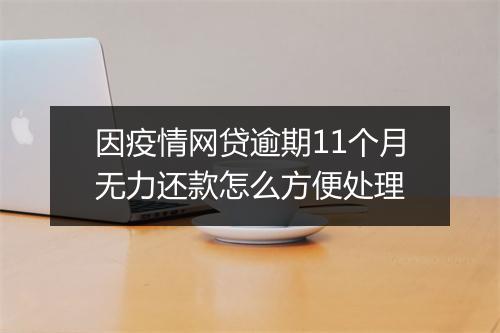 因疫情网贷逾期11个月无力还款怎么方便处理