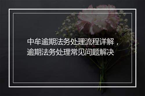 中牟逾期法务处理流程详解，逾期法务处理常见问题解决