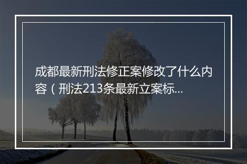 成都最新刑法修正案修改了什么内容（刑法213条最新立案标准）