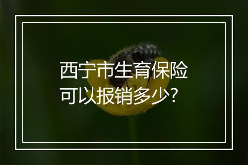 西宁市生育保险可以报销多少?