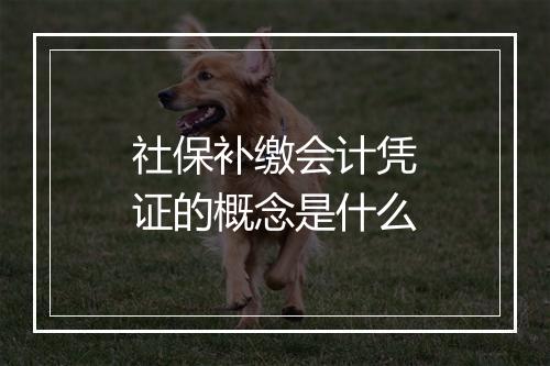 社保补缴会计凭证的概念是什么