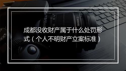 成都没收财产属于什么处罚形式（个人不明财产立案标准）